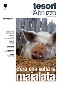 foto copertina dedicata al maiale d'abruzzo